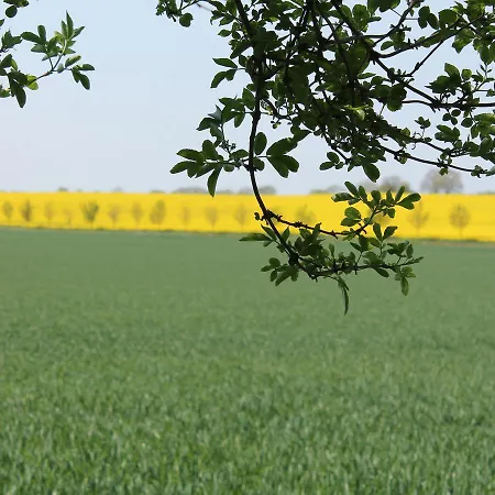 Appartement Naturblick Nebensaison Kröpelin